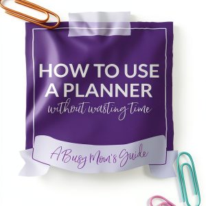 Cleaning Time Management Guide by Convivial Press eBook 95 Pages-0