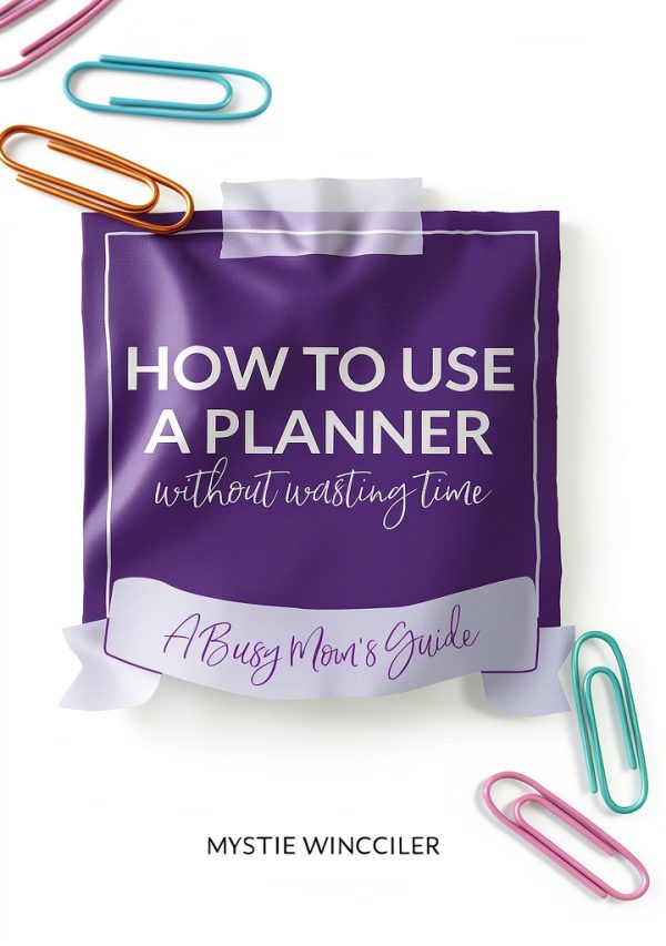 Cleaning Time Management Guide by Convivial Press eBook 95 Pages-0