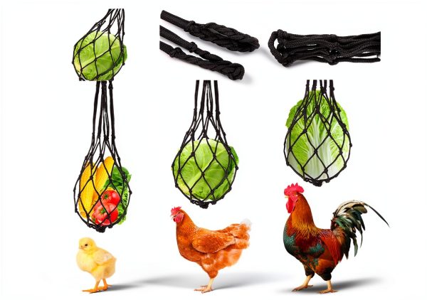 8PCS Chicken Toys for Coop Accessories, Chicken Swing, Xylophone, Mirror, Vegetable Hanging Feeder, Fruit Rack for Poultry Rooster Large Bird Parrot Lovers’ Entertainment Gift-4