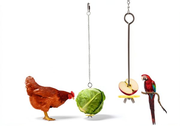 8PCS Chicken Toys for Coop Accessories, Chicken Swing, Xylophone, Mirror, Vegetable Hanging Feeder, Fruit Rack for Poultry Rooster Large Bird Parrot Lovers’ Entertainment Gift-5