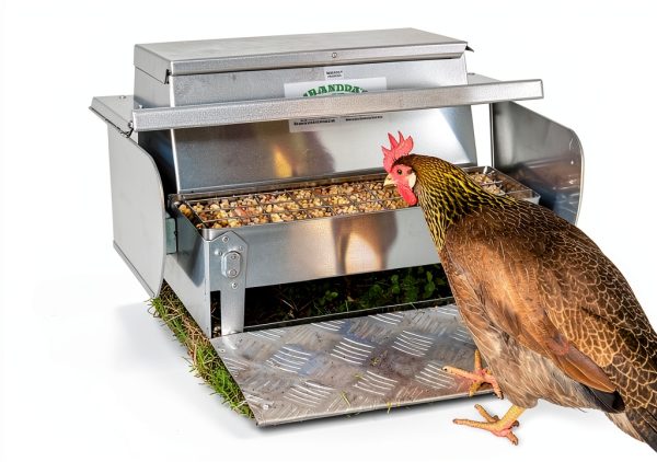 Grandpas Feeders Automatic Chicken Feeder - 20 lbs No Waste Poultry Feeder, Rat Proof & Rodent Proof Treadle Chicken Feeder, Galvanized Steel with Lid, Feeds 6 Chickens up to 10 Days-2