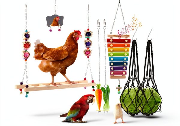 8PCS Chicken Toys for Coop Accessories, Chicken Swing, Xylophone, Mirror, Vegetable Hanging Feeder, Fruit Rack for Poultry Rooster Large Bird Parrot Lovers’ Entertainment Gift-0